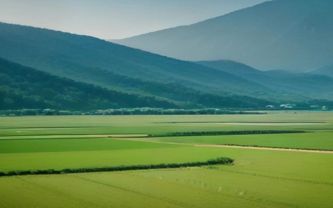 Valle con extensos campos verdes y una hilera de árboles al pie de montañas boscosas bajo un cielo brumoso