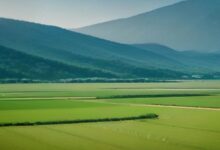 Valle con extensos campos verdes y una hilera de árboles al pie de montañas boscosas bajo un cielo brumoso